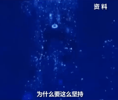 快手刷播放平台_www.zlttyq.com_QQ相关_我爱网址导航 快手刷播放平台_www.zlttyq.com_QQ相关_我爱网址导航