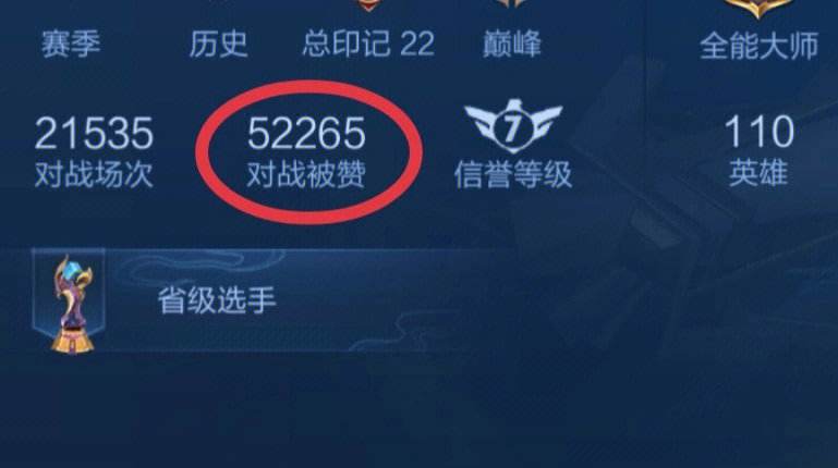 王者主页点赞（王者主页点赞有什么用）