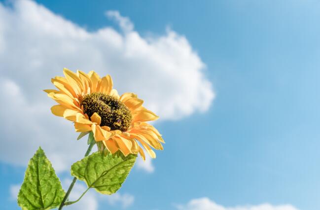 免费赞说说（免费说说赞300+）