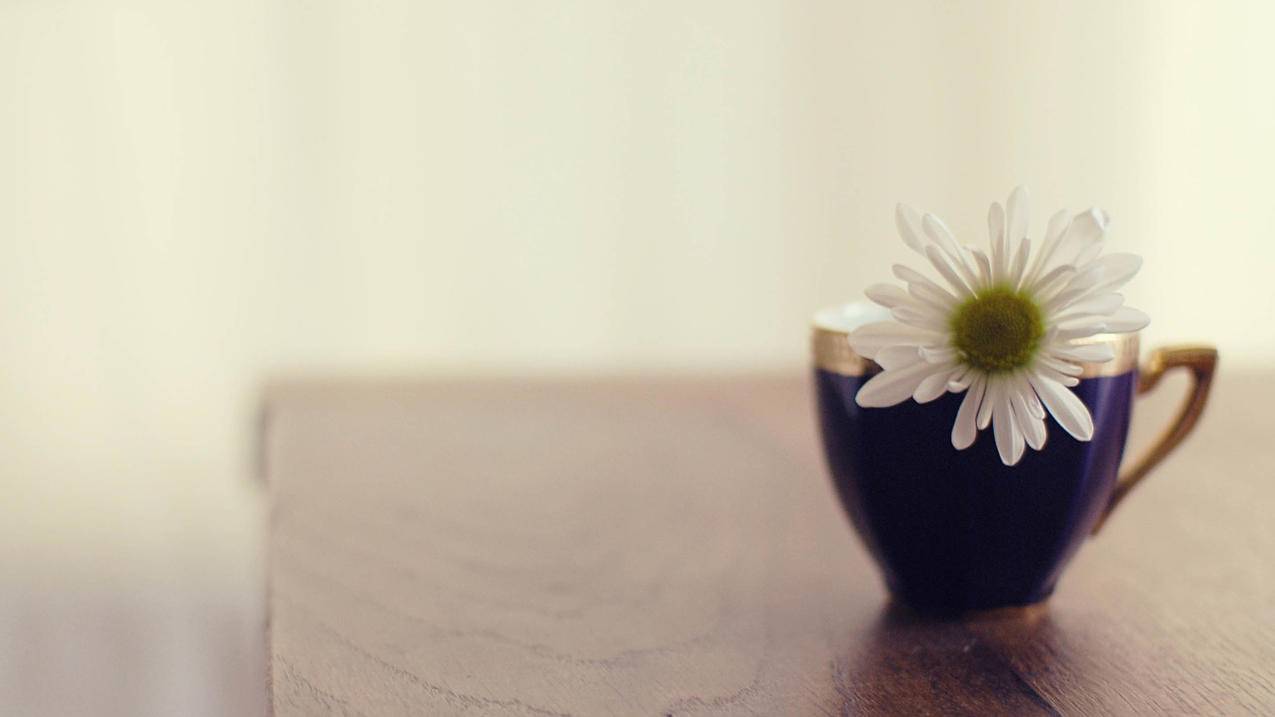 免费赞说说（免费说说赞300+）